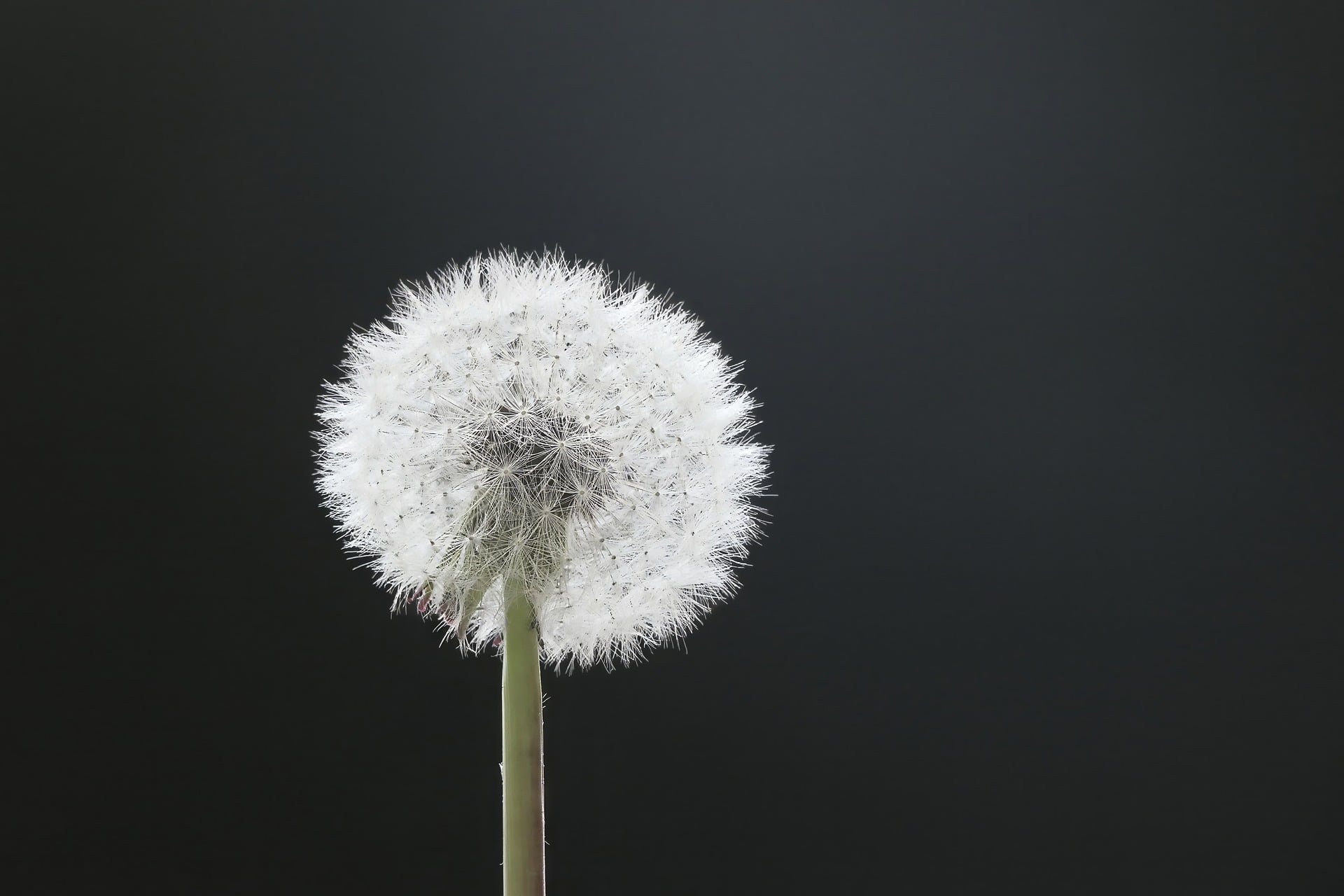 Are Funeral Wishes Legally Binding? A UK Guide for Families