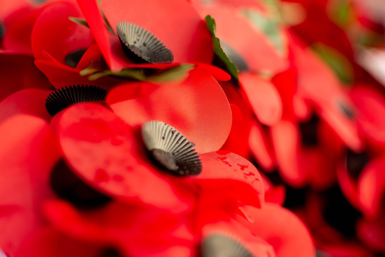 Remembrance Day