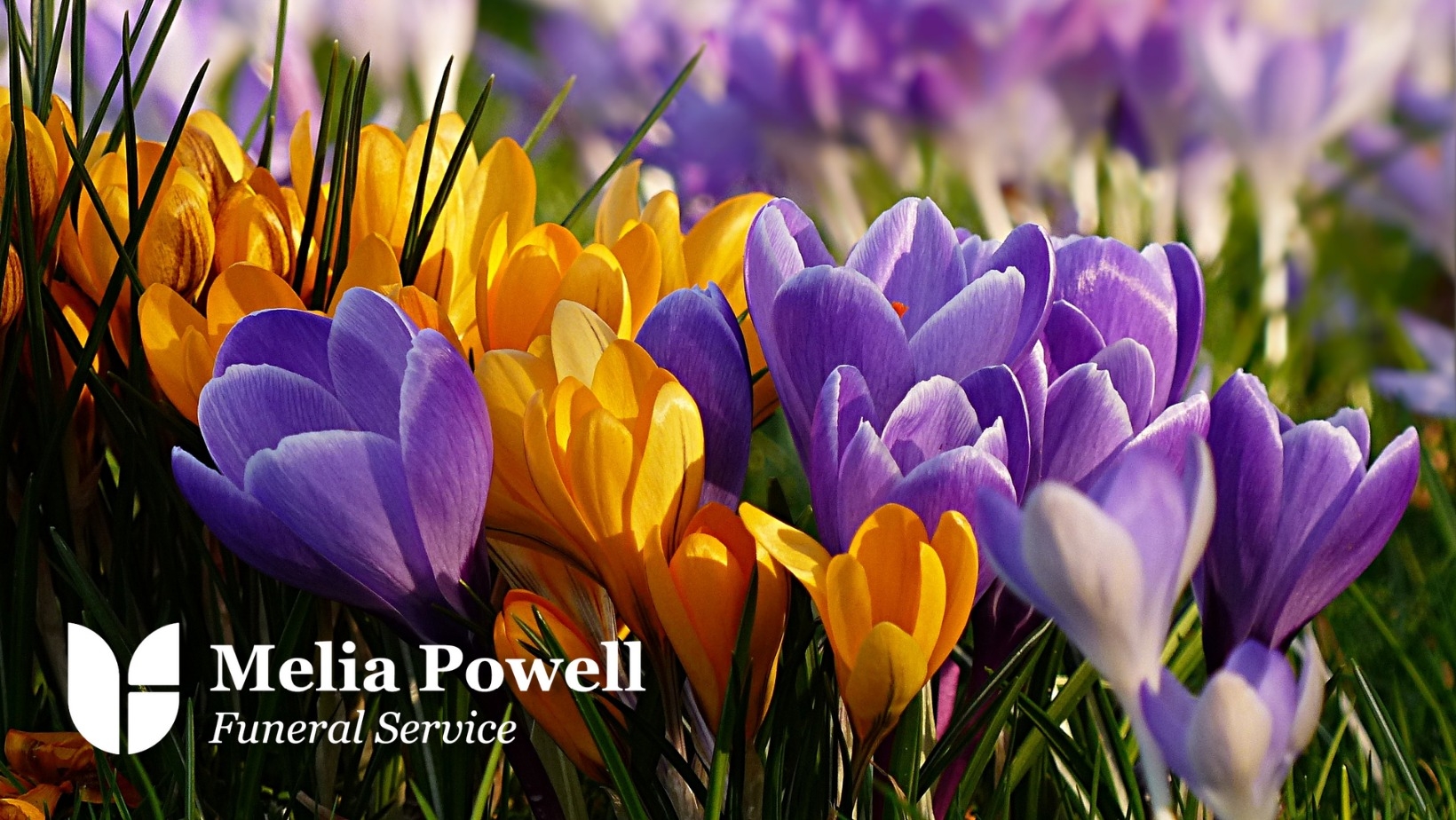 Melia Powell Funeral Service